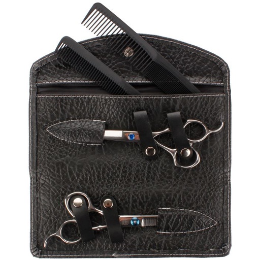 [LSS01] Scissors 5 Piece Set Stainless Steel #